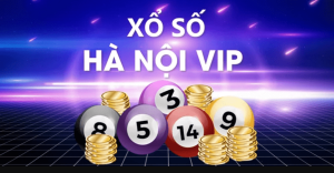 Hà Nội vip