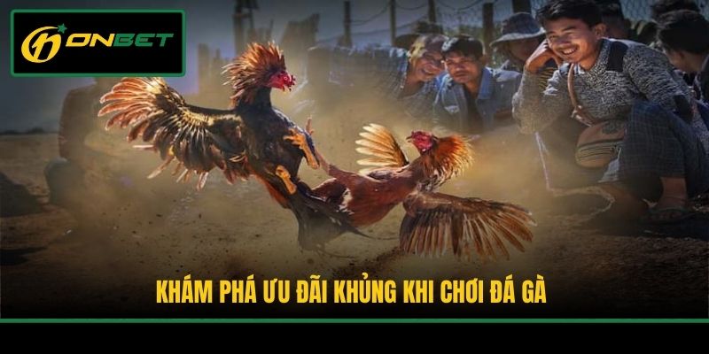 Khám phá ưu đãi khủng khi chơi đá gà