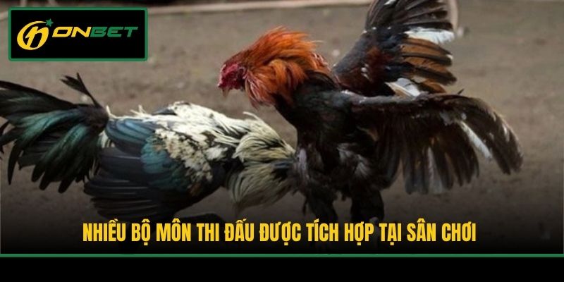 Nhiều bộ môn thi đấu được tích hợp tại sân chơi